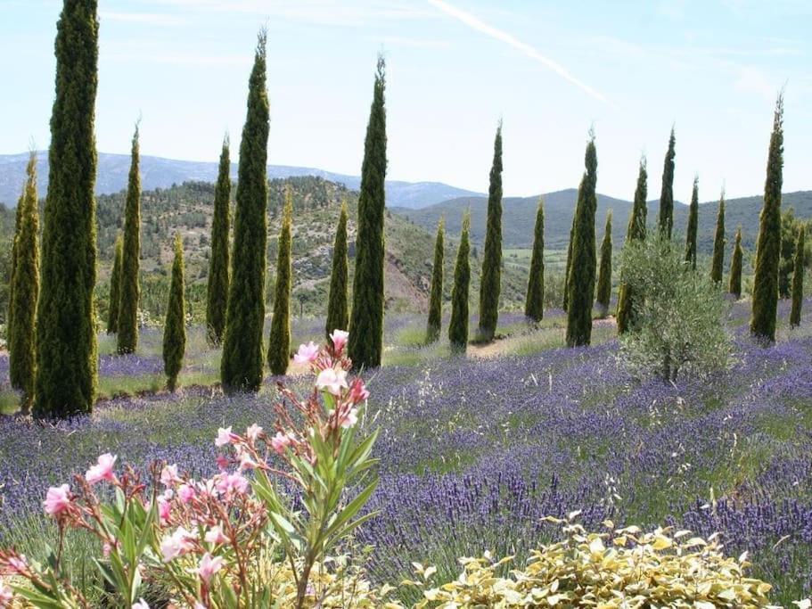 Вилла Bergerie Marcel Durban-Corbieres Экстерьер фото